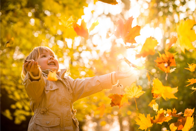 20 Fall Bulletin Board Ideas for Preschool Classrooms