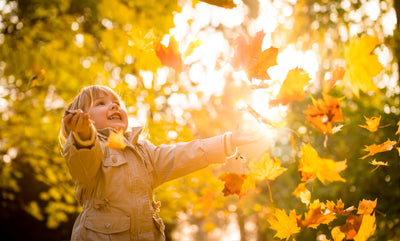 20 Fall Bulletin Board Ideas for Preschool Classrooms