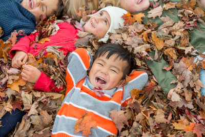 11 Fall Themes for Preschool Classrooms