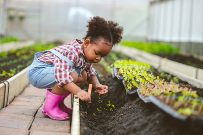 12 Farm-Related Activities for Preschoolers