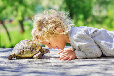 20 Hibernation-Themed Activities and Crafts for Preschoolers